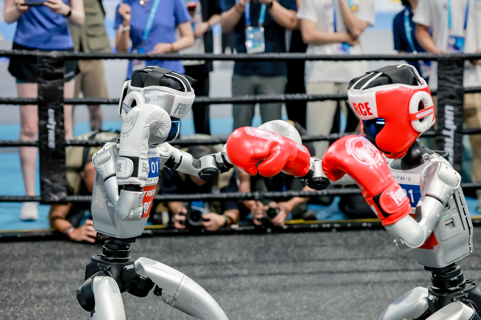 李彬彬, 报料有奖