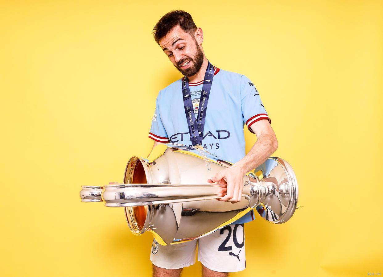 席尔瓦最适 席尔瓦最适